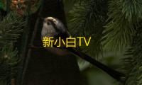 新小白TV